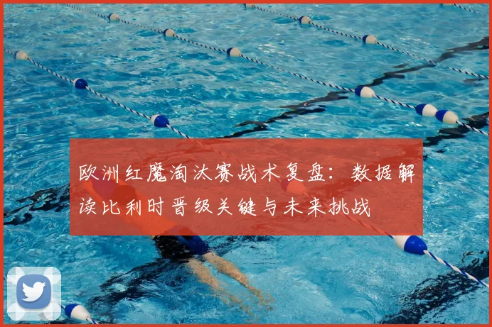 欧洲红魔淘汰赛战术复盘:数据解读比利时晋级关键与未来挑战